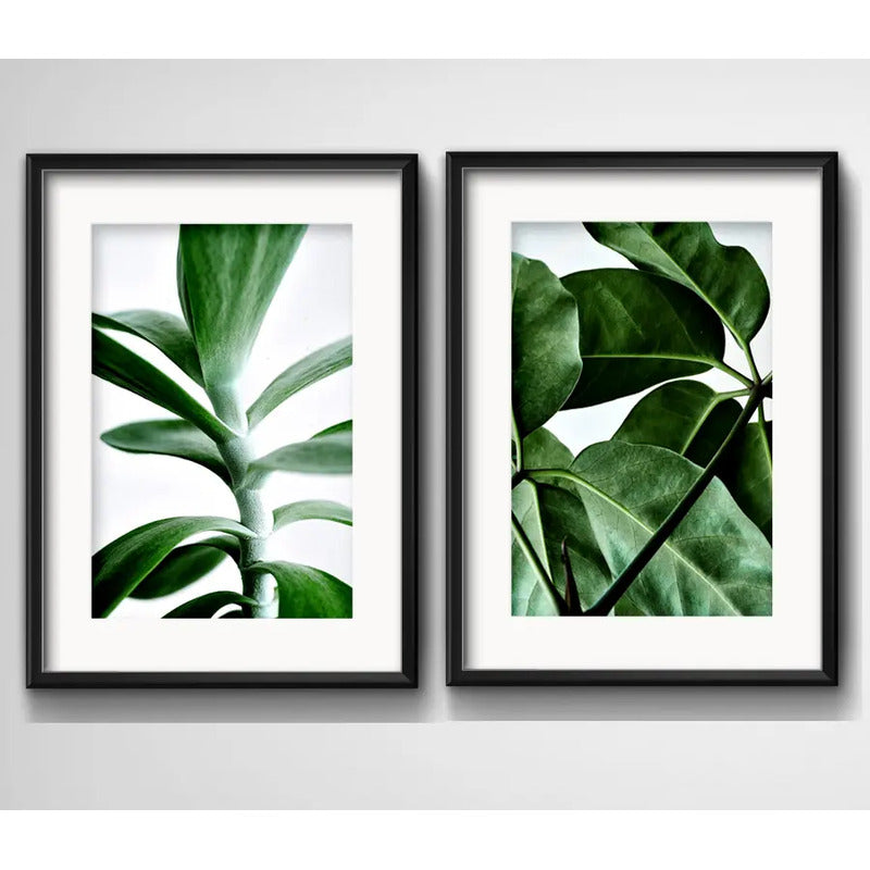 Set 2 Cuadros Hojas Plantas Verdes Decoracion Con Paspartu