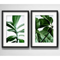 Set 2 Cuadros Hojas Plantas Verdes Decoracion Con Paspartu