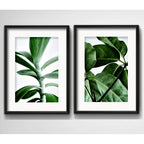 Set 2 Cuadros Hojas Plantas Verdes Decoracion Con Paspartu