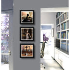 Set 3 Cuadros Abogado Diosa Justicia Juez Estudio Oficina