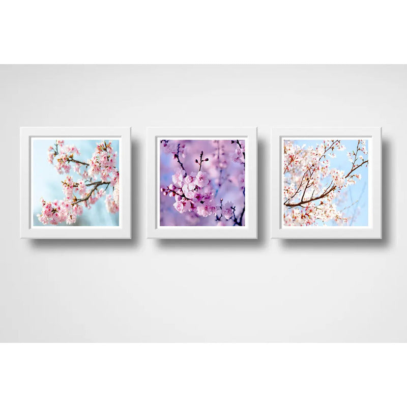 Set 3 Cuadros Sakura Flor Cerezo Japones Arte Decoracion