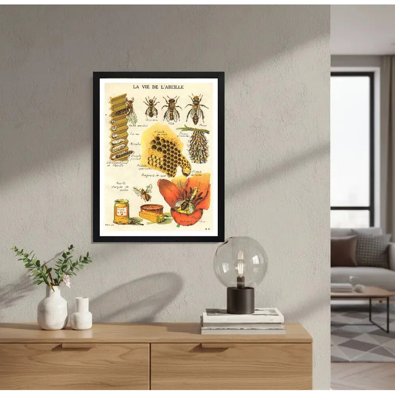 Cuadro La Vida De Una Abeja Miel Naturaleza Vintage Arte Marco Negro