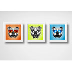 Set 3 Cuadros Perro Bulldog Pop Art Mascota Pet Decoracion