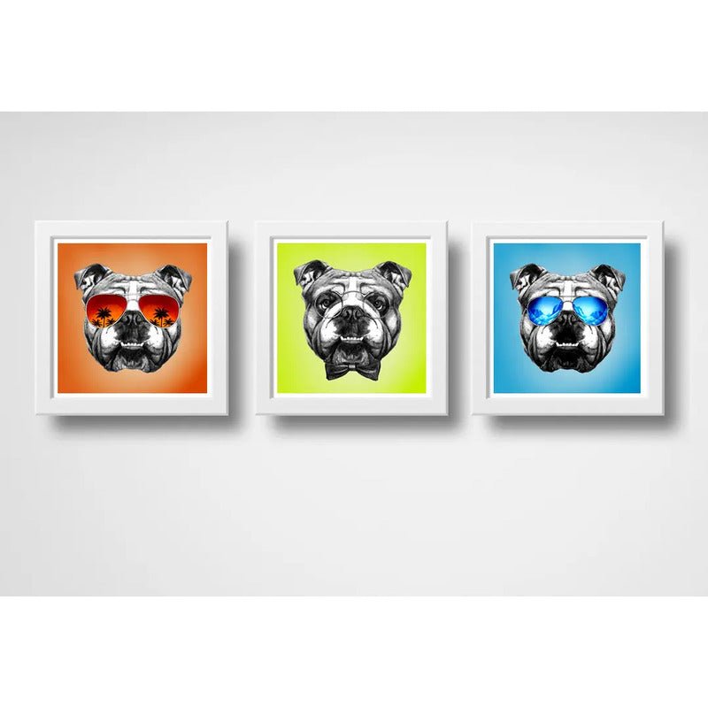Set 3 Cuadros Perro Bulldog Pop Art Mascota Pet Decoracion