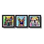 Set 3 Cuadros Perro Pop Art Colorido Mascota Pet Decoracion