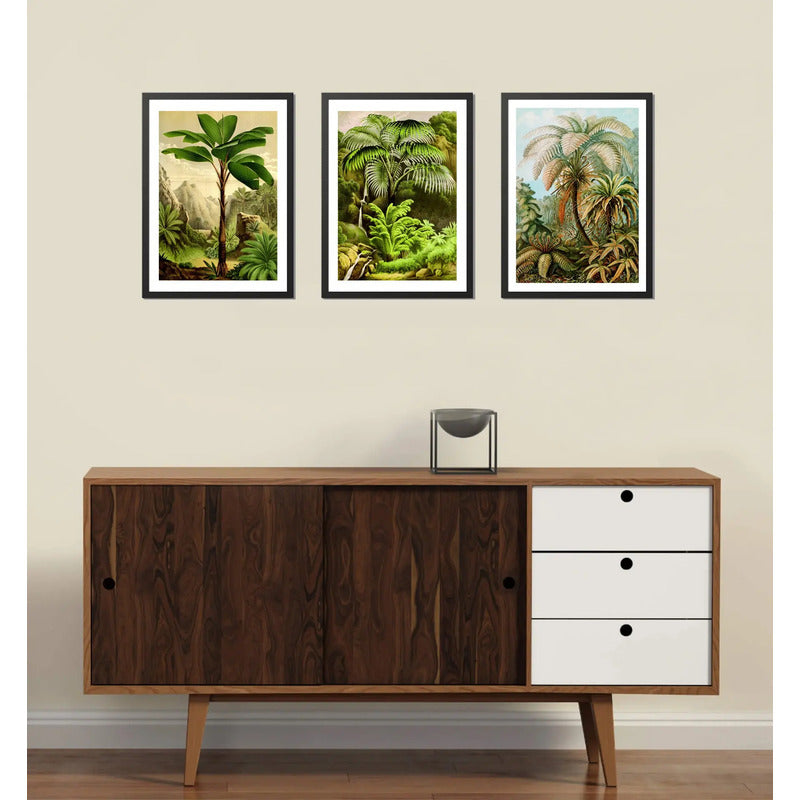 Set 3 Cuadros Arboles Vida Arte Colores Naturaleza Botanica Marco Negro