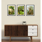 Set 3 Cuadros Arboles Vida Arte Colores Naturaleza Botanica Marco Negro