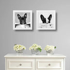 Set 2 Cuadros Perro Baño Mascota Diario Decoracion Pet Brs10