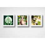 Set 3 Cuadros Frida Naturaleza Cactus Hojas Arte Botanico