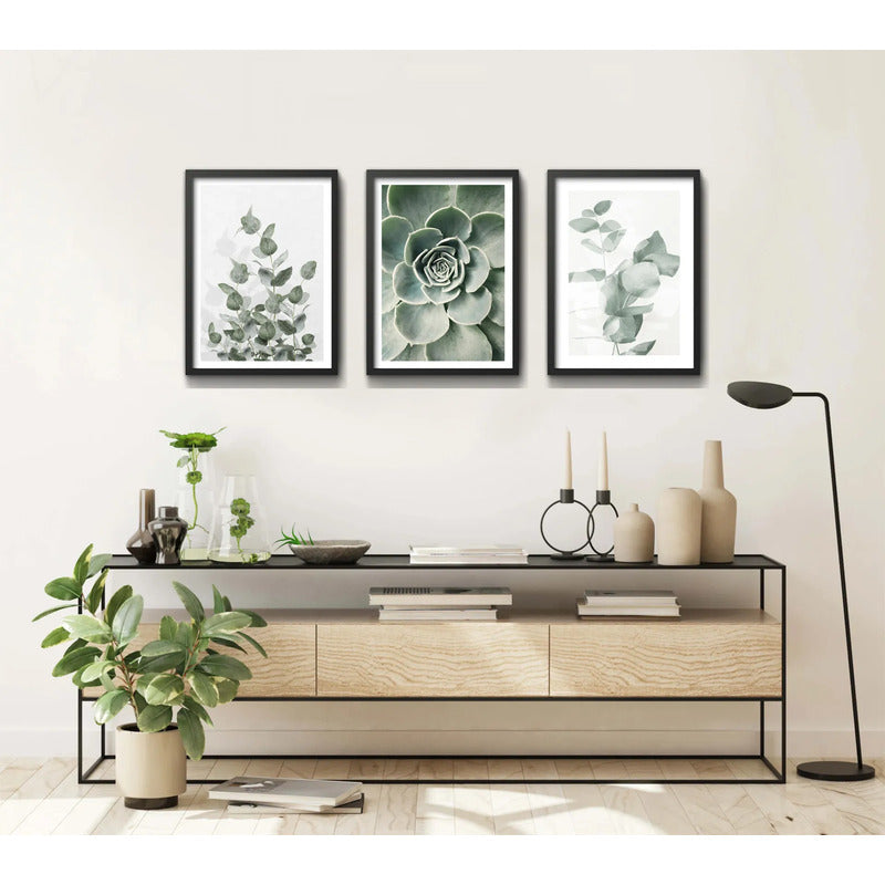 Set 3 Cuadros Naturaleza Verde Hojas Plantas Botanica Marco Negro