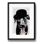 Cuadro Labrador Negro Perro Retro Decoracion Con Paspartú Marco Negro