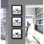 Set 3 Cuadros Perro Baño Decoracion Mascotas Pet Veterinaria