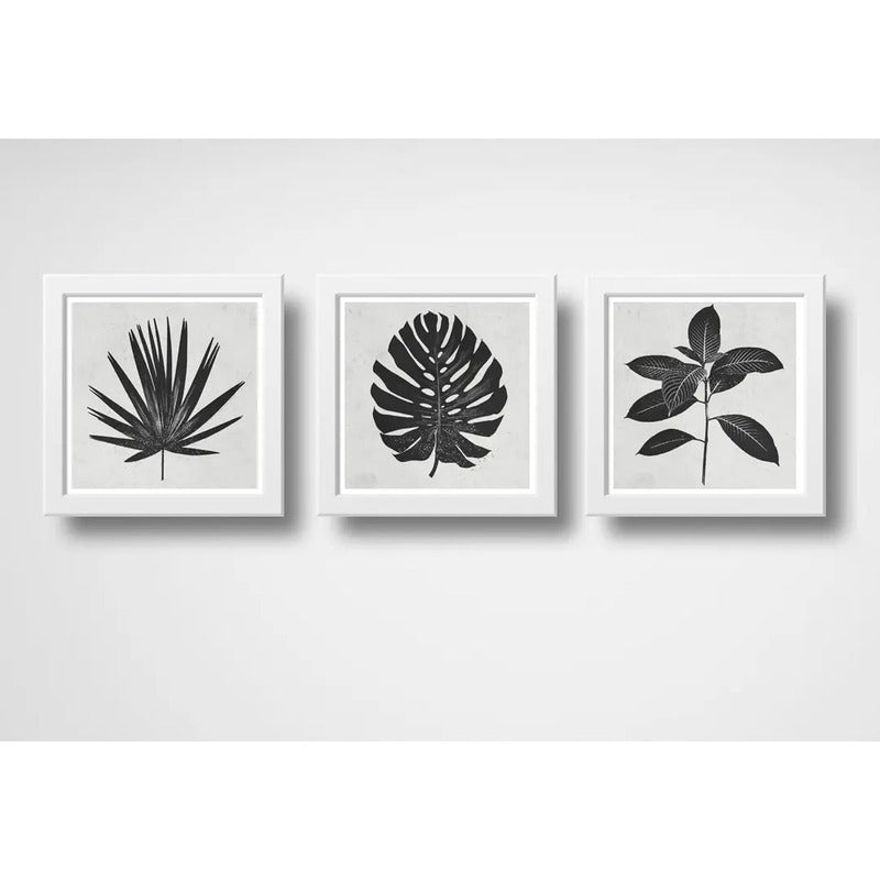 Set 3 Cuadros Hojas Minimalista Blanco Y Negro Arte Botanico