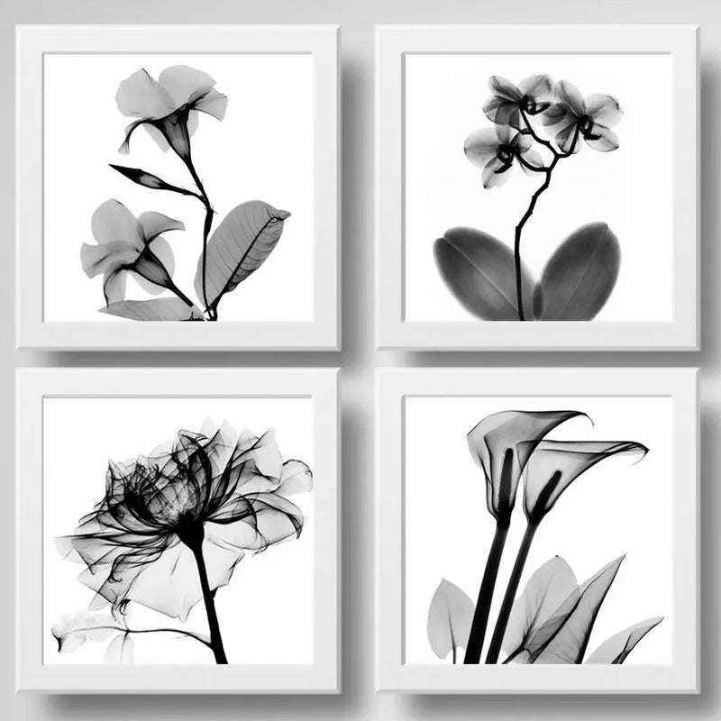 Set 4 Cuadros Flores Minimalista Floral Arte Blanco Y Negro