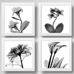 Set 4 Cuadros Flores Minimalista Floral Arte Blanco Y Negro