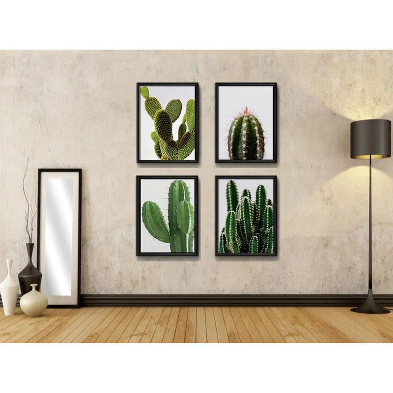 Set 4 Cuadros Cactus Suculentas Plantas Botanico Decoracion