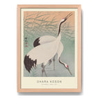 Cuadro Ohara Koson Dos Grullas Aves Arte Japones Marco Oak Marco Marrón Claro
