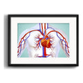 Cuadro Cardiovascular Médico Clinica Cuerpo Humano Paspartú Marco Negro