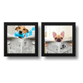 Set 2 Cuadros Perro Baño Mascota Diario Decoracion Pet Brs04