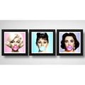 Set 3 Cuadros Marilyn Monroe Chicle Audrey Elizabeth Pop Art