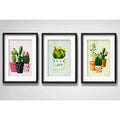 Set 3 Cuadros Cactus Suculentas Pop Art Decoracion Paspartú