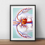 Cuadro Cardiovascular Médico Clinica Cuerpo Humano Paspartú Marco Negro