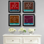 Set 4 Cuadros Formula Quimica Café Vino Chocolate Cerveza