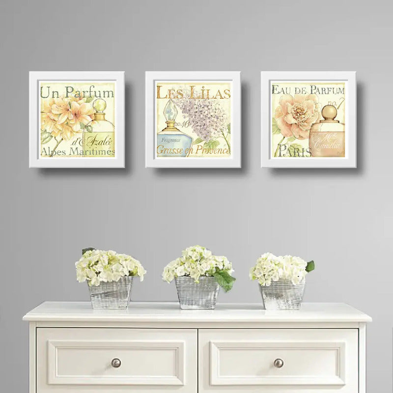 Set 3 Cuadros Flores Paris Perfume Baño Arte Decoracion