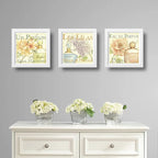 Set 3 Cuadros Flores Paris Perfume Baño Arte Decoracion