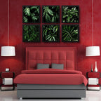 Set 6 Cuadros Hojas Plantas Verdes Decoracion Botanico