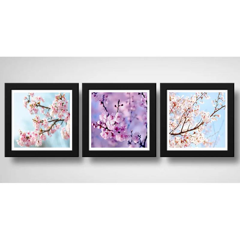 Set 3 Cuadros Sakura Flor Cerezo Japones Arte Decoracion