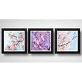 Set 3 Cuadros Sakura Flor Cerezo Japones Arte Decoracion