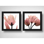 Set 2 Cuadros Flores Minimalista Rosé Gold Hojas 33x33cm Marco Negro