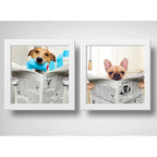 Set 2 Cuadros Perro Baño Mascota Diario Decoracion Pet Brs04
