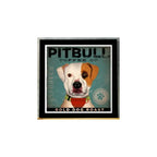 Cuadro Perro Cafe Pop Art Todas Razas Mascota Pet Decoracion