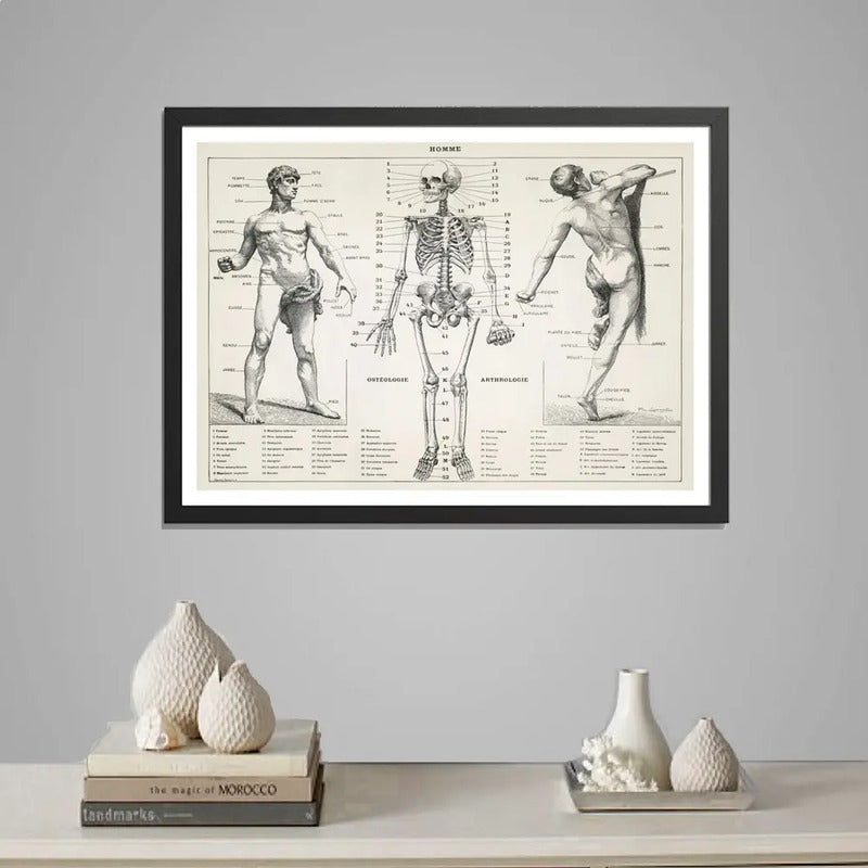 Cuadro Esqueleto Cuerpo Humano Médico Anatomia Clinica Marco Negro