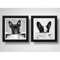 Set 2 Cuadros Perro Baño Mascota Diario Decoracion Pet Brs10