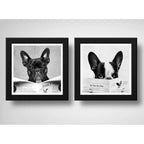 Set 2 Cuadros Perro Baño Mascota Diario Decoracion Pet Brs10