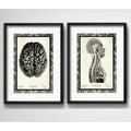 Set 2 Cuadros Anatomia Médico Cuerpo Humano Con Paspartu