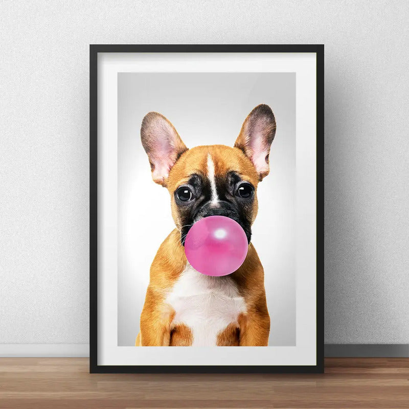 Cuadro Perro Chicle Bulldog Mascota Pet Decoracion Paspartú