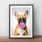 Cuadro Perro Chicle Bulldog Mascota Pet Decoracion Paspartú