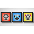 Set 3 Cuadros Perro Pug Pop Art Breaking Bad Pet Decoracion