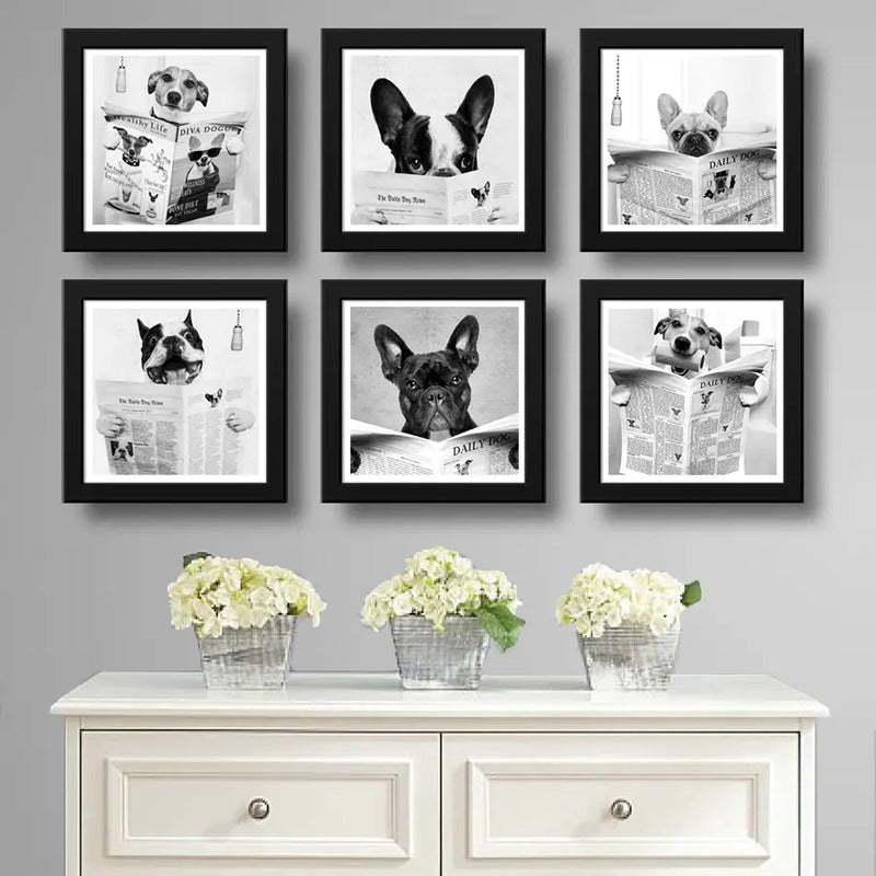 Set 6 Cuadros Perro Baño Decoracion Mascota Pet Veterinaria