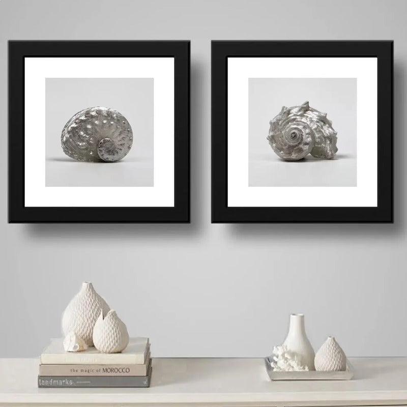 Set 2 Cuadros Conchas Playa Marino Nautico Arte - 33x33cm Marco Negro