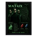 Cuadro Matrix Mapa Pelicula Cornejo Blanco Red Pill Cinema Marco Negro
