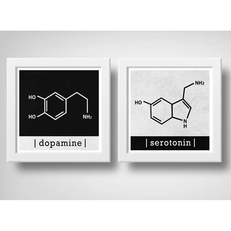 Set 2 Cuadros Formula Quimica Dopamina Serotonina Decoracion
