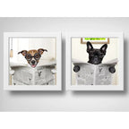 Set 2 Cuadros Perro Baño Mascota Diario Decoracion Pet Brs03