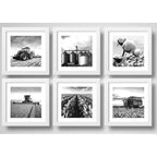 Set 6 Cuadros Agronegocios Soja Algodon Tractor Silo Cosecha