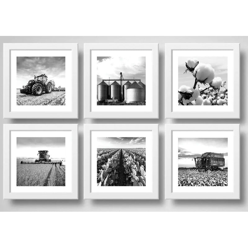 Set 6 Cuadros Agronegocios Soja Algodon Tractor Silo Cosecha