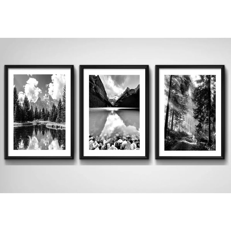Set 3 Cuadros Paisajes En Blanco Y Negro Arboles Decoración